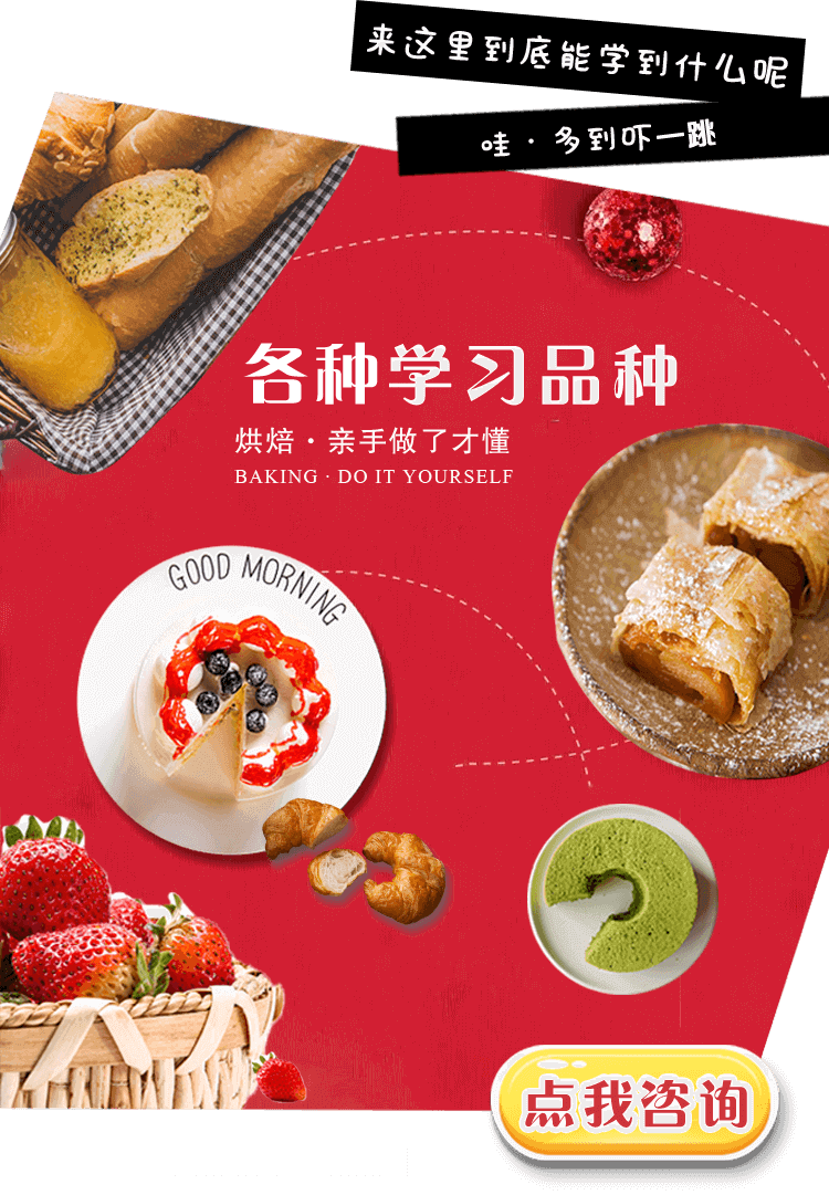 上海欧米奇超多学习品种