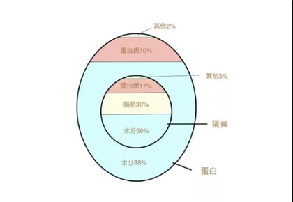 西点师培训