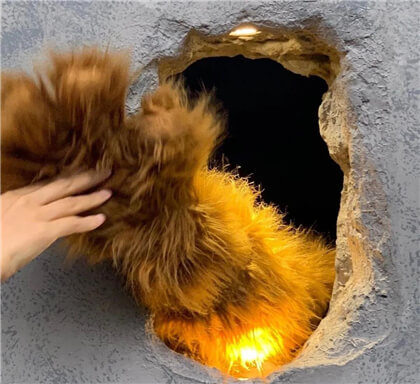 烘焙培训